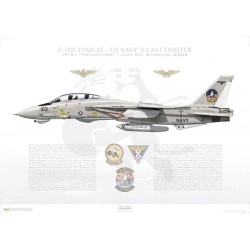 F-14D Tomcat VF-31 Tomcatters, AJ103 / 164350 / LAST CAT STANDING, 2006