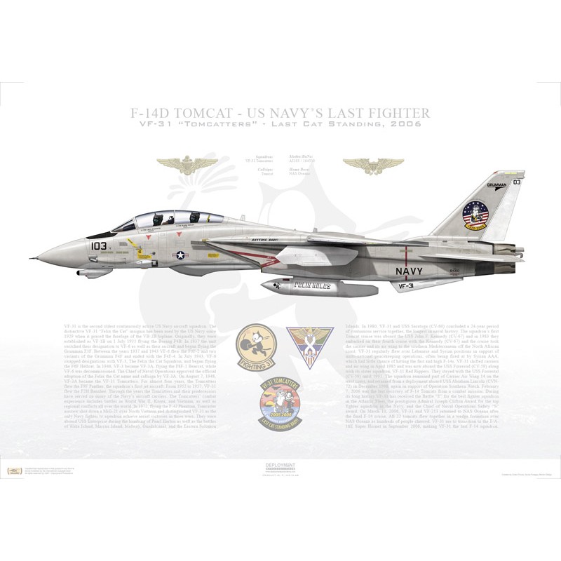 F-14D Tomcat VF-31 Tomcatters, AJ103 / 164350 / LAST CAT STANDING, 2006