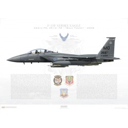 F-15E Strike Eagle 366th FW, 391st FS, MO/90-0249 / 2008