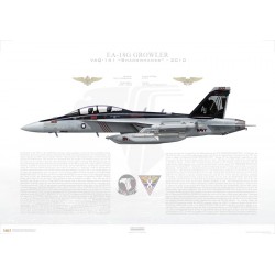 EA-18G Growler VAQ-141 Shadowhawks, AJ500 / 166928 / 2010