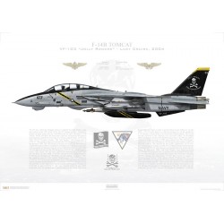 F-14B Tomcat VF-103 Jolly Rogers, AA103 / 163217 / Last Cruise, 2004