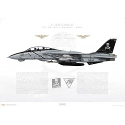 F-14B Tomcat VF-103 Jolly Rogers, AA103 / 161435, 2001