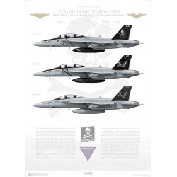VFA-103 Jolly Rogers Homecoming 2013