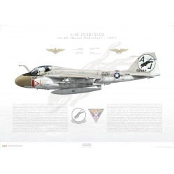 A-6E Intruder VA-35 Black Panthers, AJ502 / 151582 / 1977
