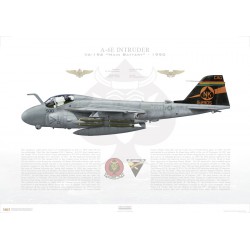 A-6E Intruder VA-196 Main Battery, NK500 / 152905 / 1990