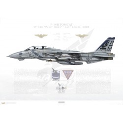 F-14B Tomcat VF-143 Pukin' Dogs, AG100 / 163220 / Last Cruise, 2005