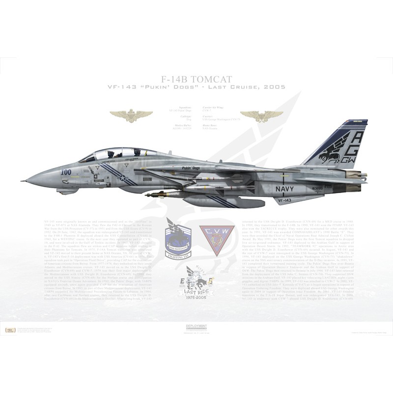 F-14B Tomcat VF-143 Pukin' Dogs, AG100 / 163220 / Last Cruise, 2005