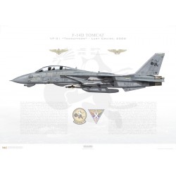 F-14D Tomcat VF-31 Tomcatters, AJ102 / 163904 / 2006