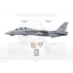 F-14D Tomcat VF-31 Tomcatters, AJ102 / 163904 / LAST CAT STANDING, 2006