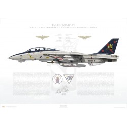 F-14B Tomcat VF-11 Red Rippers, AA101 / 162912 / Retirement Scheme, 2005