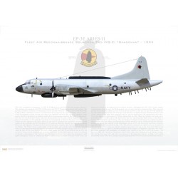 EP-3E Aries II VQ-2 Sandeman, JQ25 / 157325 - "Christine", 1994 