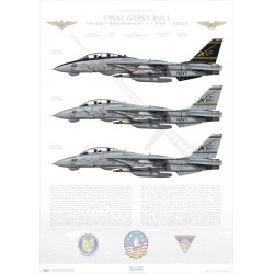 Final Gypsy Roll, VF-32...