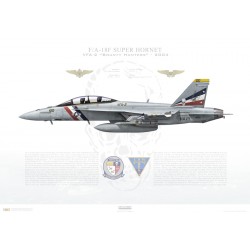 F/A-18F Super Hornet VFA-2 Bounty Hunters, NE100 / 165916 / 2004