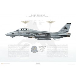 F-14D Tomcat VF-213 Black Lions, NH101 / 164603 / 2001 - Profile Print