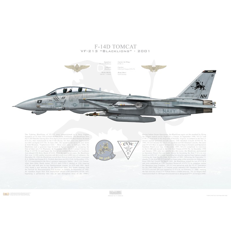 F-14D Tomcat VF-213 Black Lions, NH101 / 164603 / 2001 - Profile Print