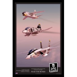 Fear the Bones - VF-84 Jolly Rogers
